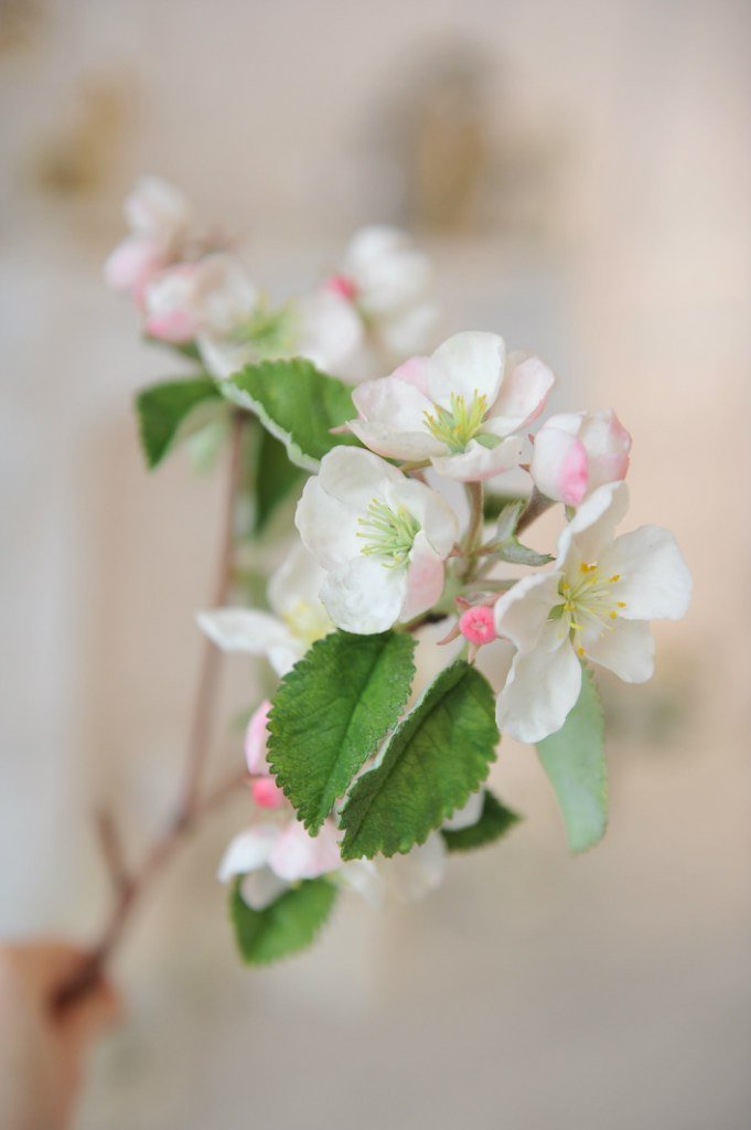 Ветка цветущей яблони из холодного фарфора)))яблоня в руках невесты может цвести круглый год.