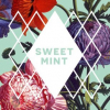 SweetMint