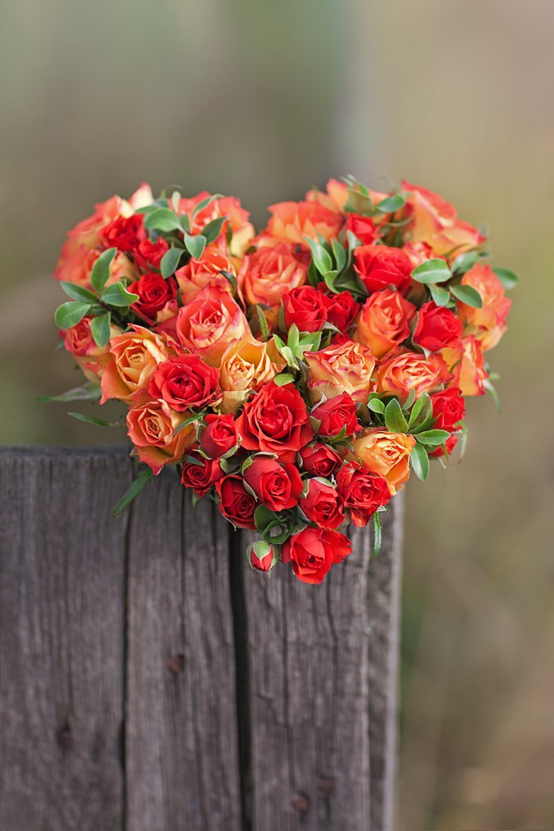 Букет Сердце из ярких алых и оранжевых садовых и кустовых роз и декоративной зелени, на своих стеблях, легкий.

