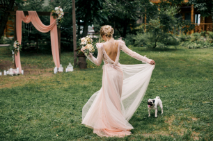 Невеста и собачка