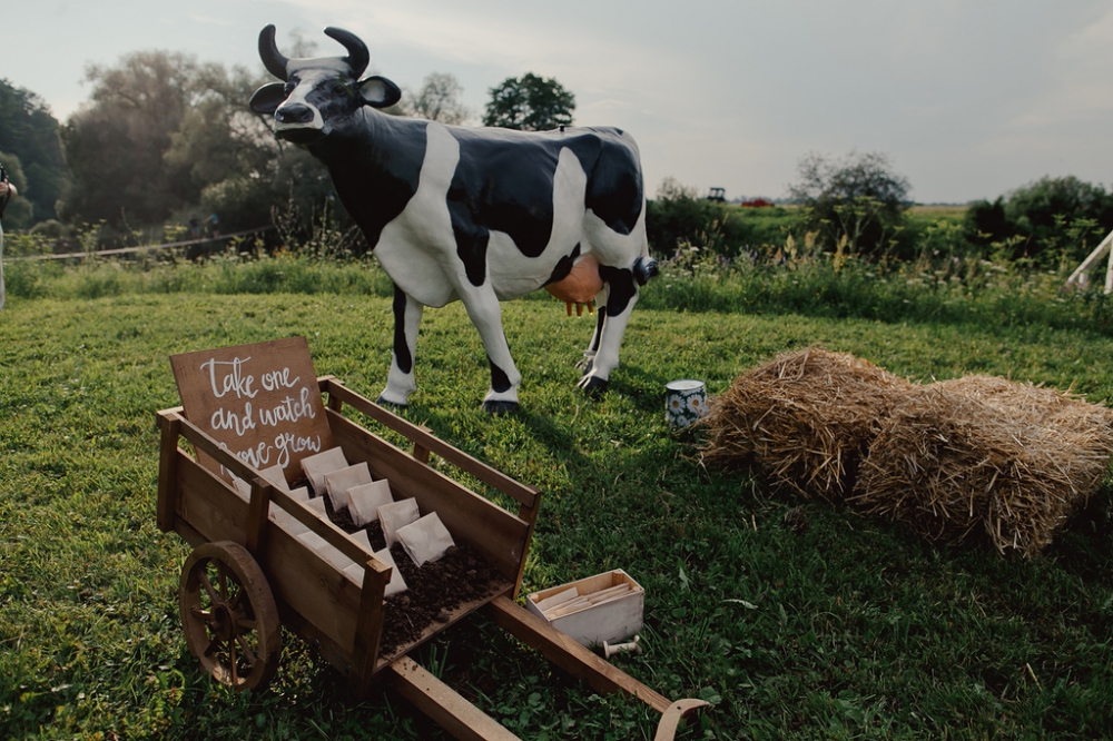 Лимонадная корова и маленькие подарочки для гостей как воспоминание о летней свадьбе в стиле рустик