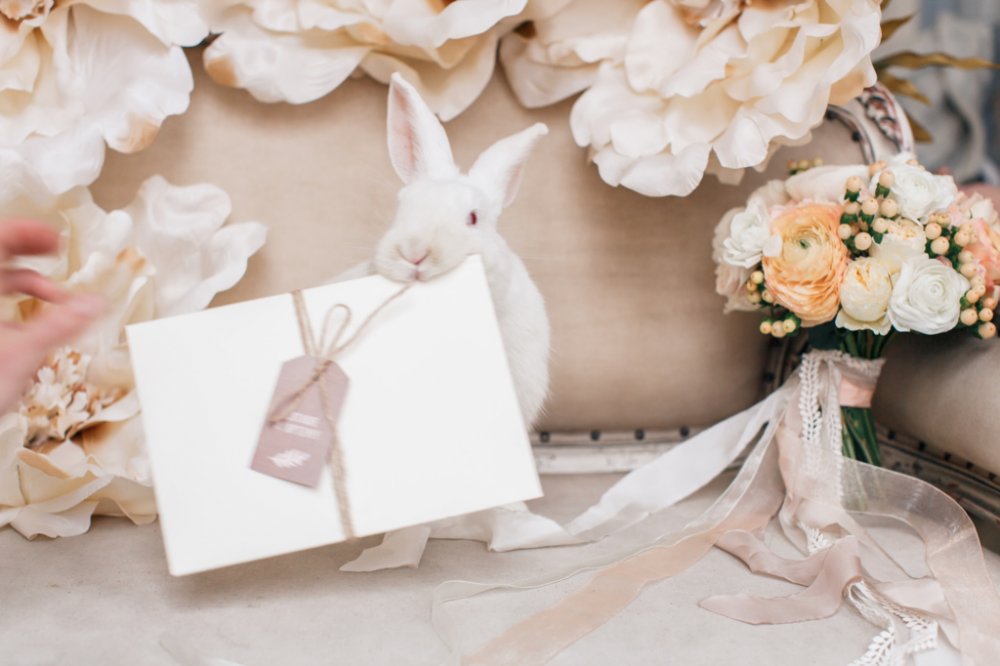 Кролик с свадебным пригласительным