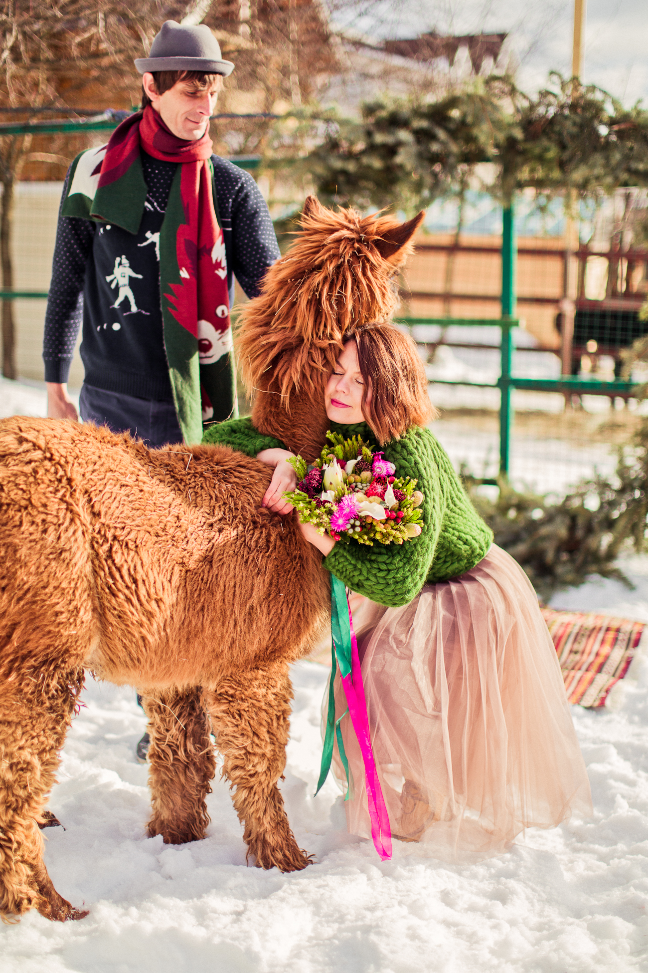Alpaca's Wedding. Маленькая свадьба на ферме
