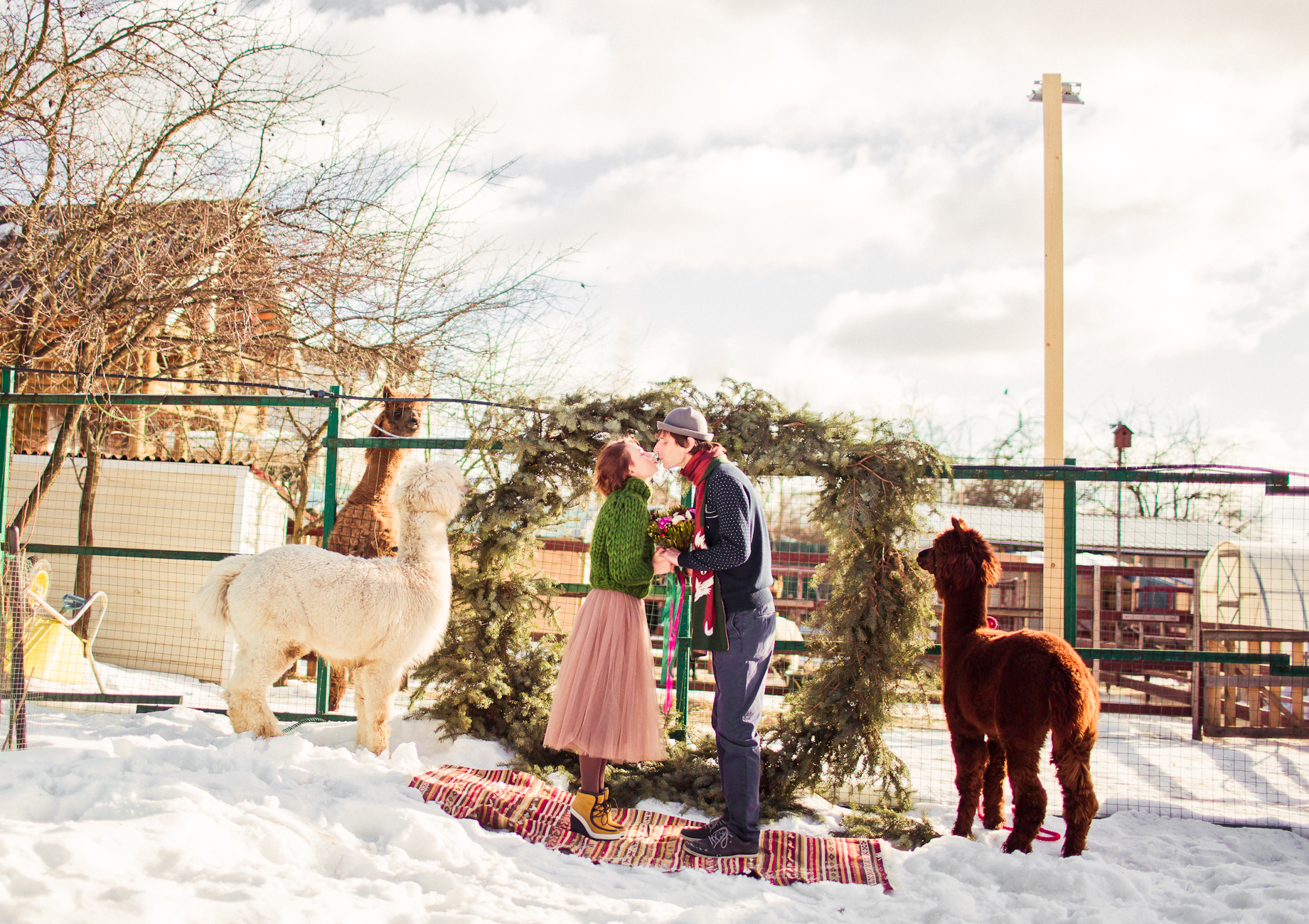Alpaca's Wedding. Маленькая свадьба на ферме