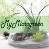 MyMicrogreen