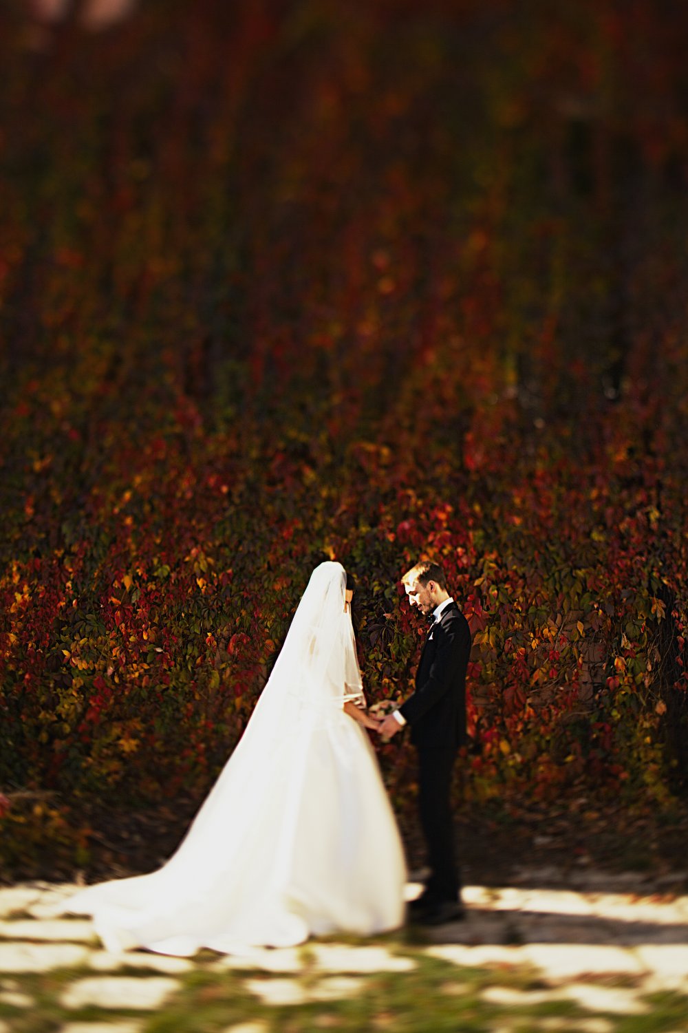 Осенняя свадьба 