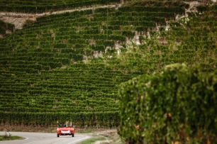 Фотосессия в долине виноградников. Италия