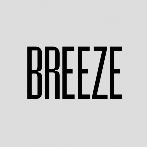 BREEZEWEDDING